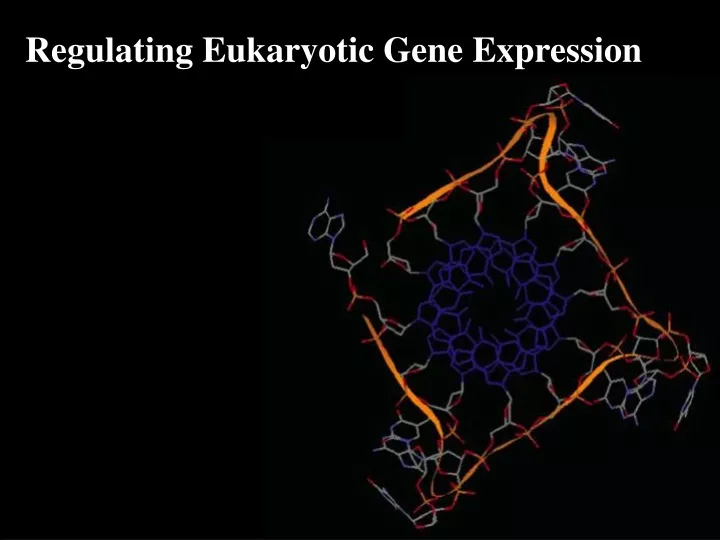 regulating eukaryotic gene expression