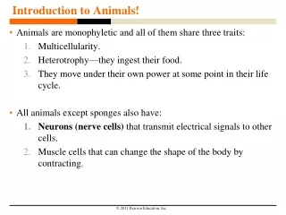 Introduction to Animals!