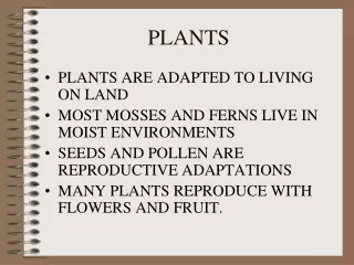 PLANTS