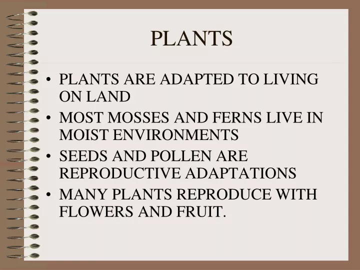 plants