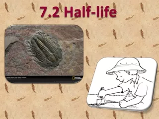 7.2  Half-life
