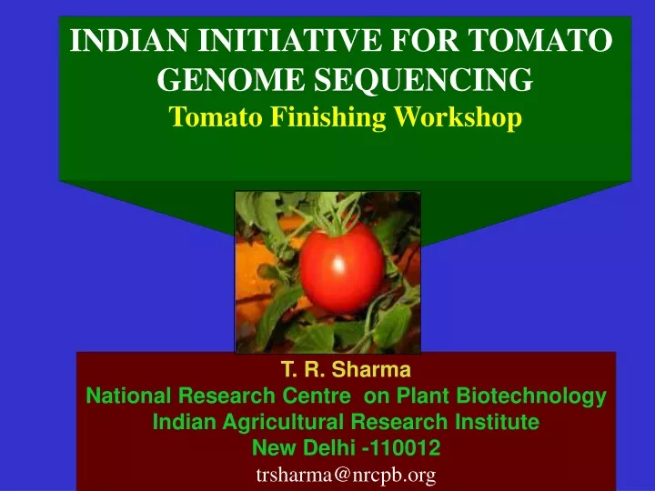 indian initiative for tomato genome sequencing