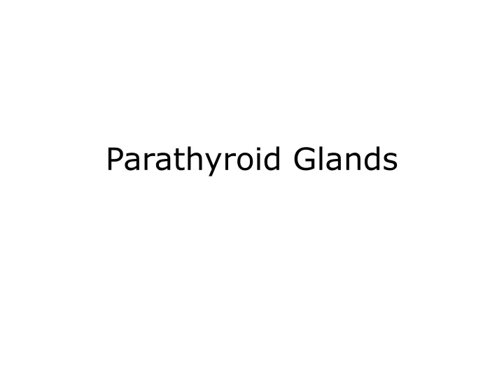 parathyroid glands