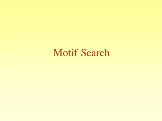 Motif Search