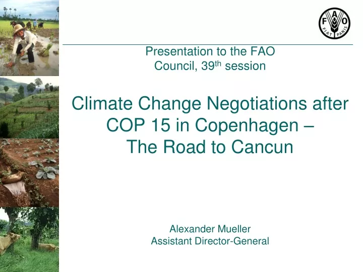 presentation to the fao council 39 th session