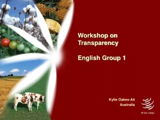 Workshop on Transparency English Group 1