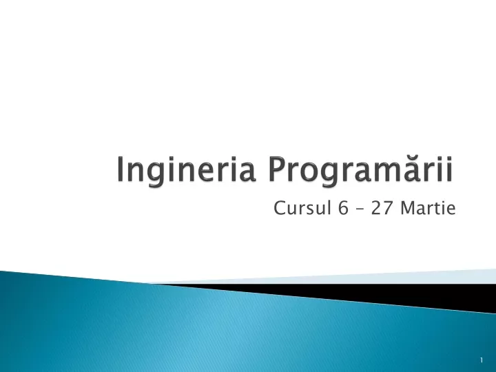 ingineria program rii