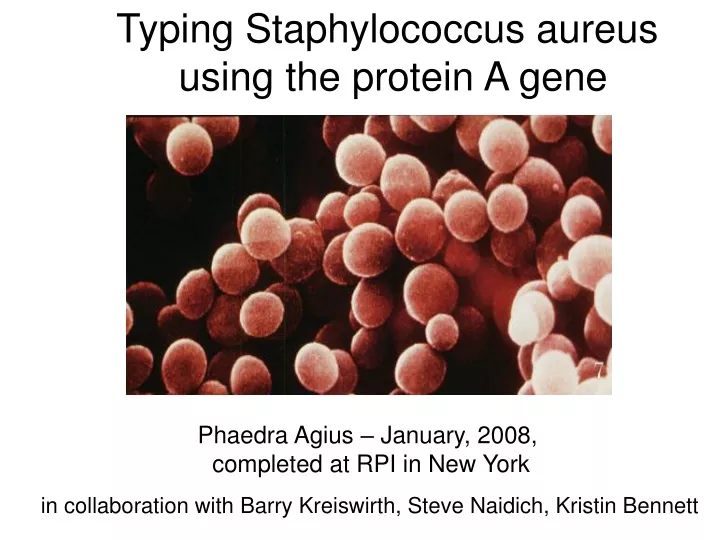 typing staphylococcus aureus using the protein