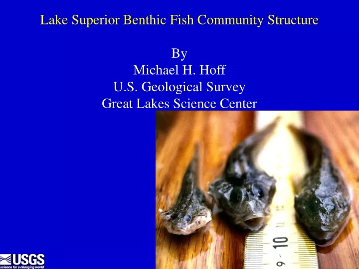 lake superior benthic fish community structure