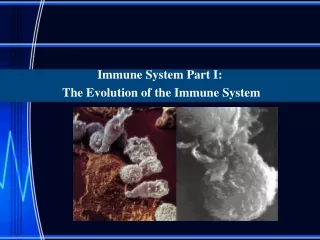 Immune System Part I:   The Evolution of the Immune System