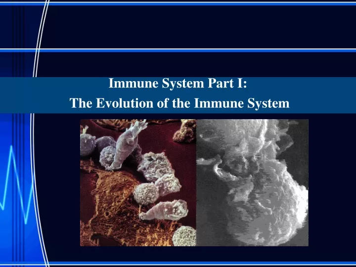 immune system part i the evolution of the immune