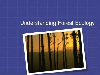 Understanding Forest Ecology