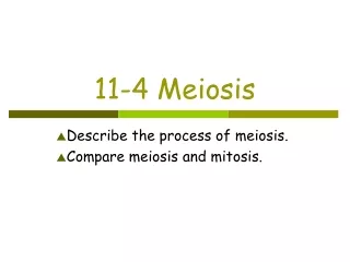 11-4 Meiosis