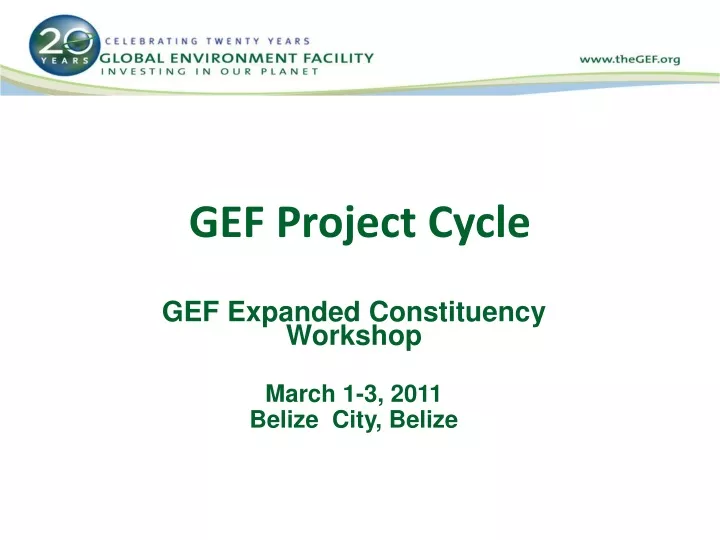 gef project cycle