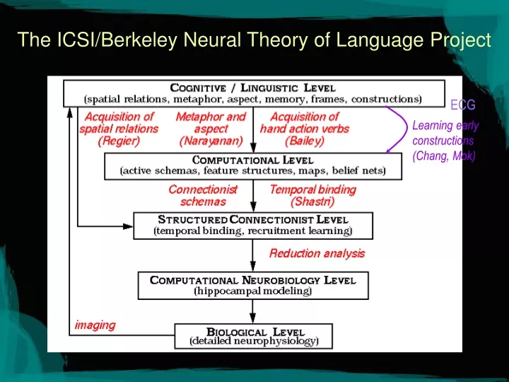 the icsi berkeley neural theory of language project