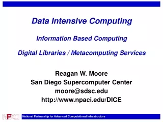 Data Intensive Computing Information Based Computing Digital Libraries / Metacomputing Services