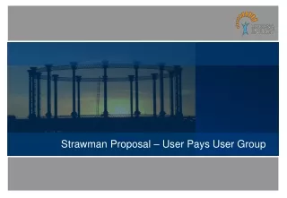 Strawman Proposal – User Pays User Group