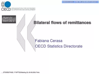 Bilateral flows of remittances