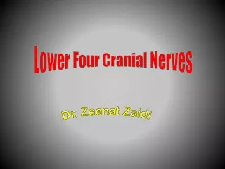 Lower Four Cranial Nerves