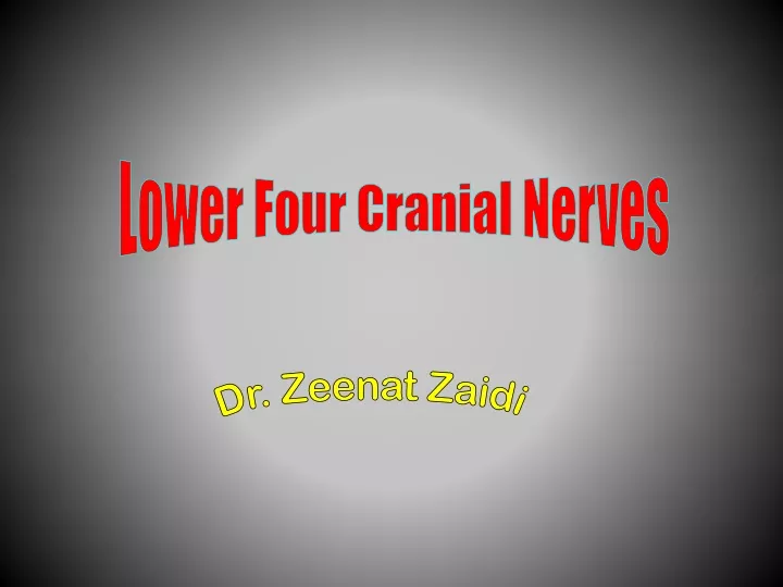 lower four cranial nerves