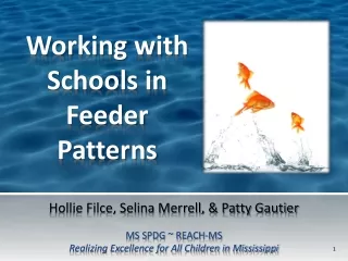 Working with Schools in Feeder Patterns