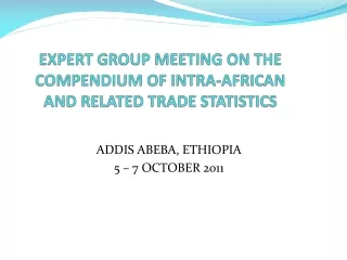 EXPERT GROUP MEETING ON THE COMPENDIUM OF INTRA-AFRICAN AND RELATED TRADE STATISTICS