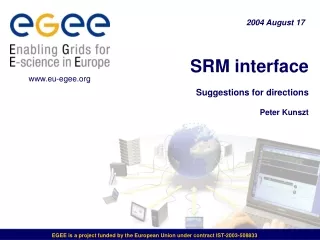 SRM interface Suggestions for directions Peter Kunszt