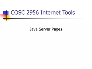 COSC 2956 Internet Tools