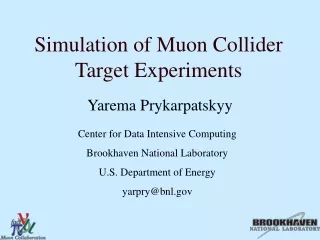 Simulation of Muon Collider Target Experiments