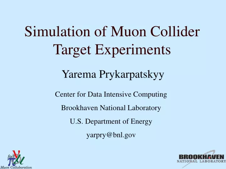 simulation of muon collider target experiments