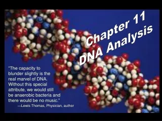“The capacity to blunder slightly is the real marvel of DNA. Without this special