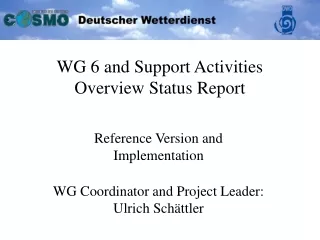 WG 6 and Support Activities Overview Status Report