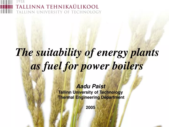the suitability of energy plants as fuel for power boilers