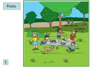 Picnic