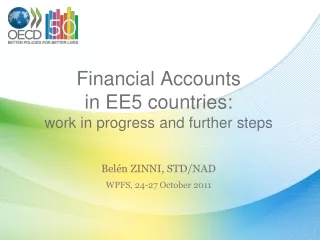 Financial Accounts  in EE5 countries:  work in progress and further steps