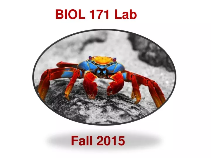 biol 171 lab