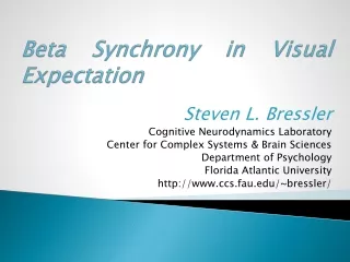 Beta Synchrony in Visual Expectation