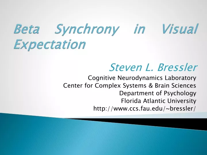 beta synchrony in visual expectation