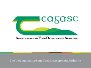 Irish Agriculture – Future Opportunities