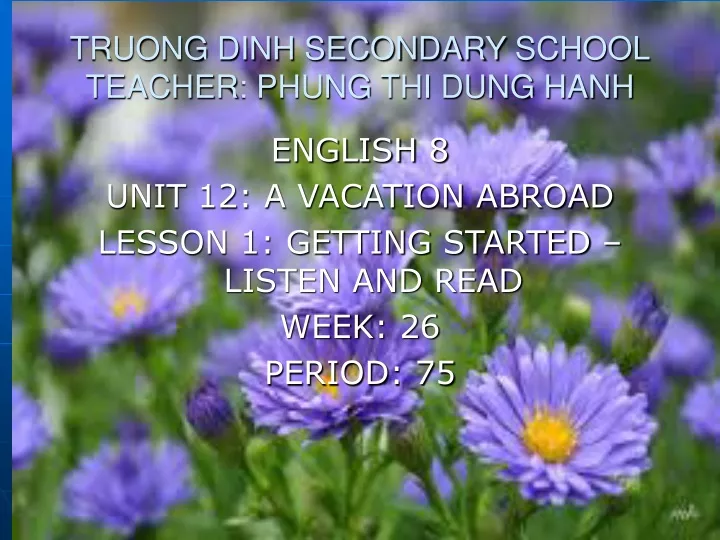 truong dinh secondary school teacher phung thi dung hanh