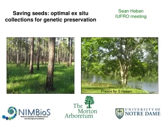 Saving seeds: optimal ex situ collections for genetic preservation