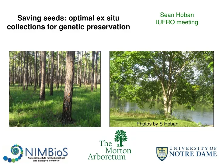 saving seeds optimal ex situ collections for genetic preservation