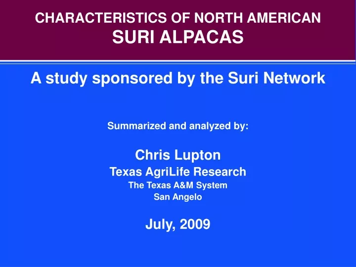 characteristics of north american suri alpacas