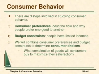 Consumer Behavior