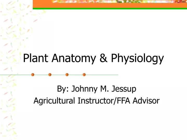 plant anatomy physiology