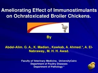 Ameliorating Effect of Immunostimulants on Ochratoxicated Broiler Chickens.
