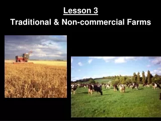 Lesson 3 Traditional &amp; Non-commercial Farms