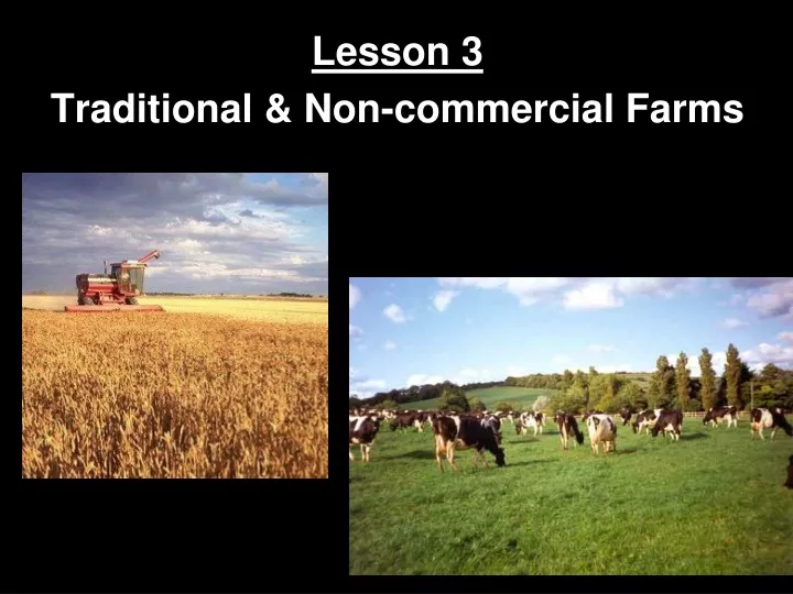 lesson 3 traditional non commercial farms
