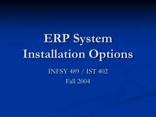ERP System Installation Options