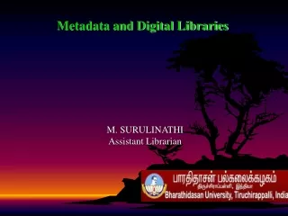 Metadata and Digital Libraries
